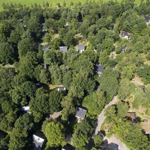 Center Parcs Limburgse Peel mit typischem Parkbild