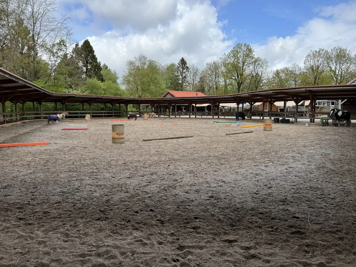 Landal Het Land van Bartje in Ees, Drenthe – Bild 5