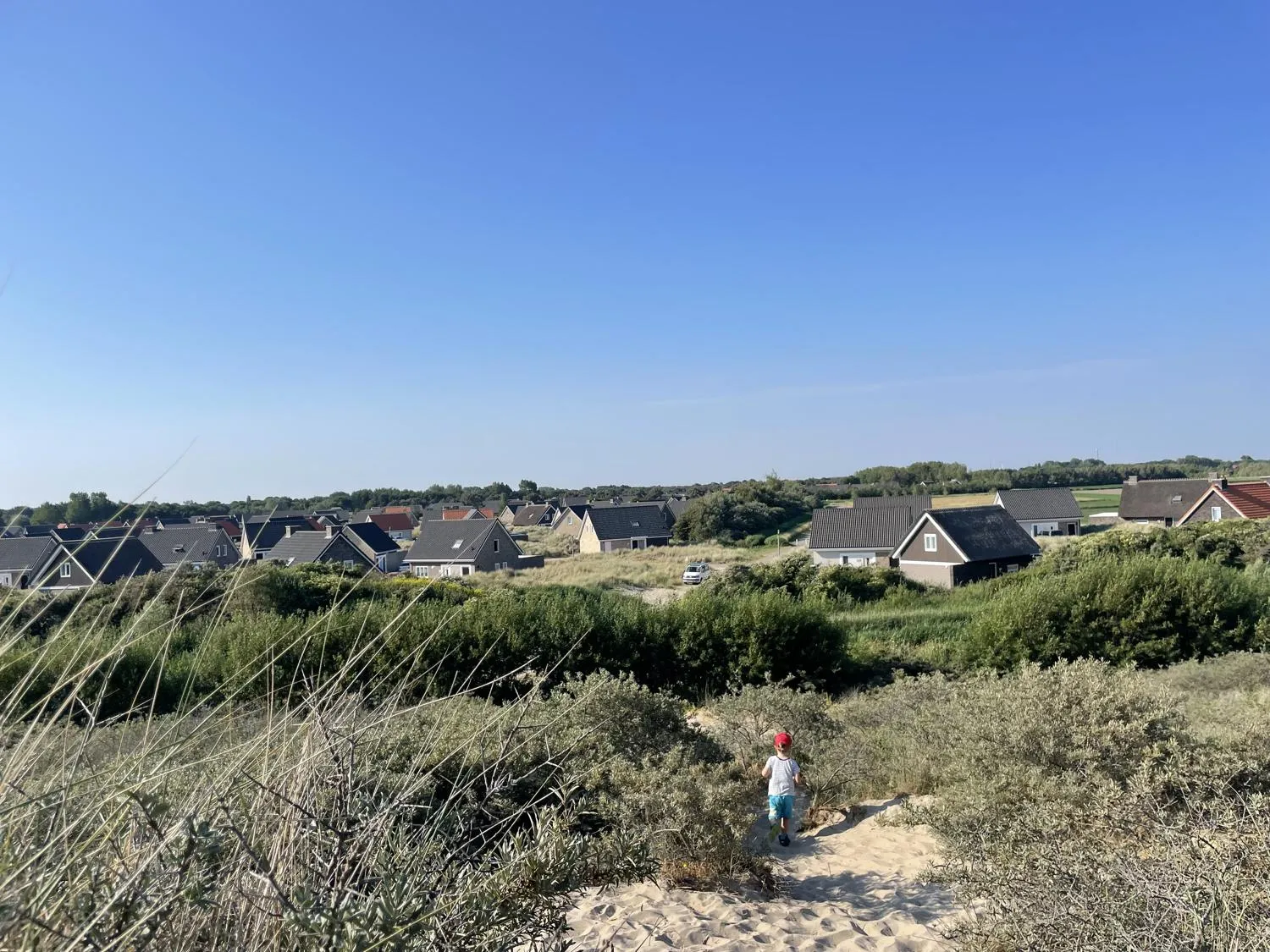 Dünenlandschaft rund um das Landal Ouddorp Duin Dünenlandschaft rund um das Landal Ouddorp Duin