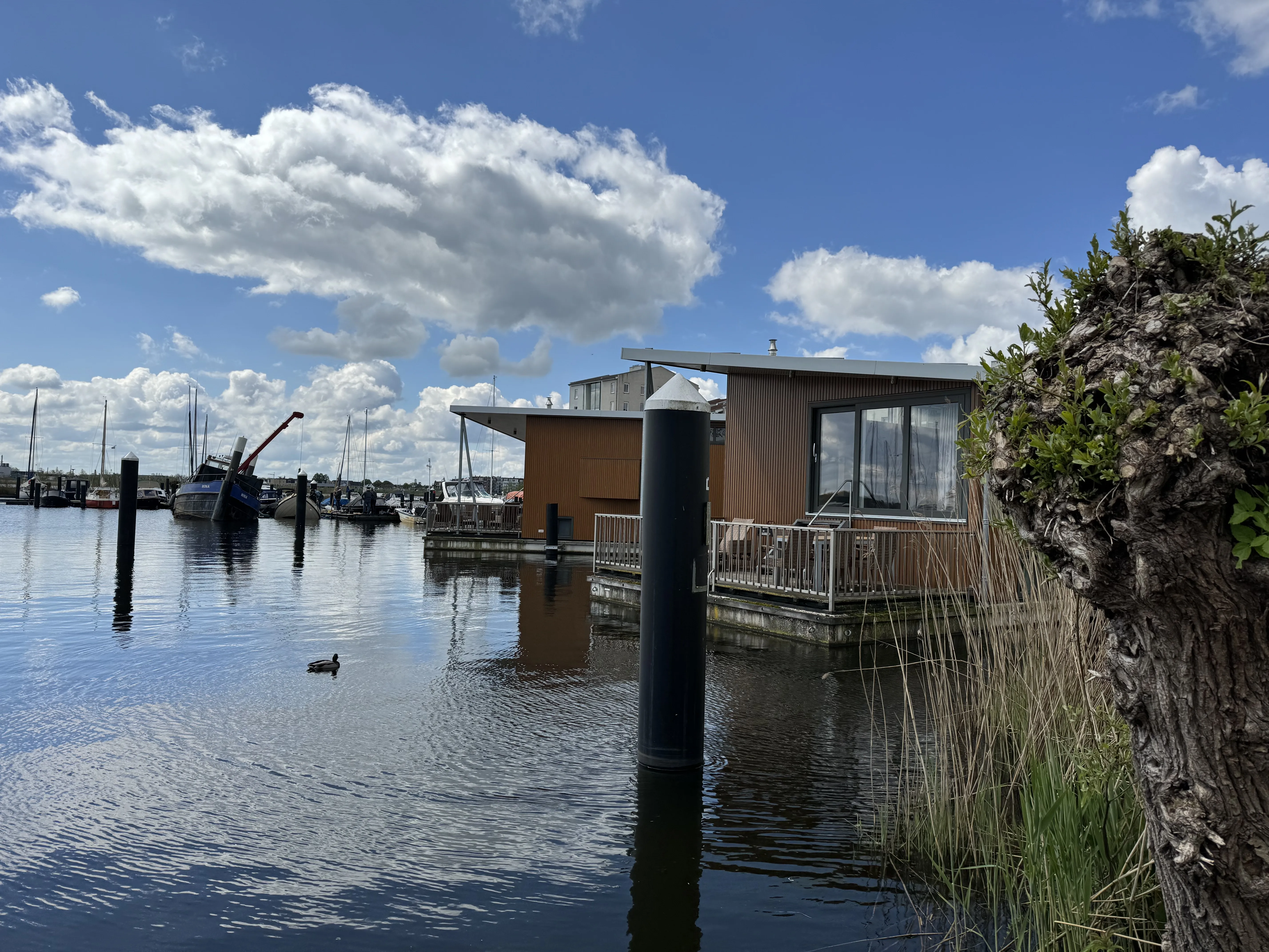 Hausboote in der Marina von De Eemhof