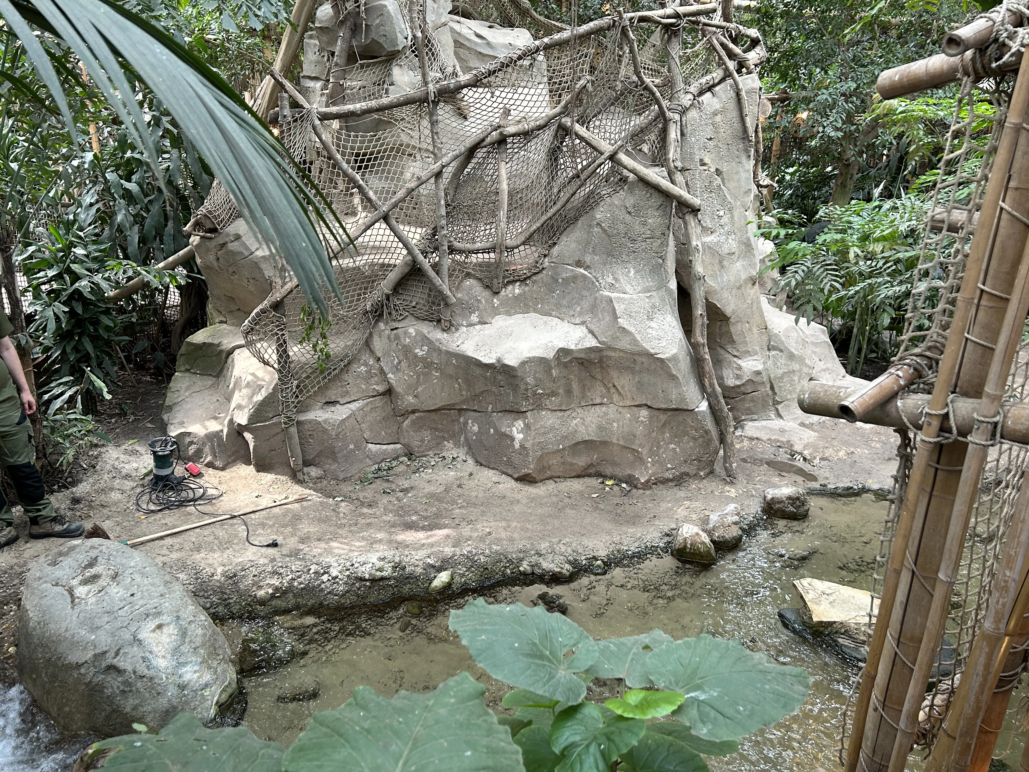 Bach im Jungle Dome von Het Heijderbos
