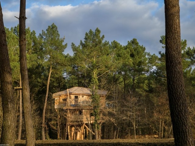 Baumhaus