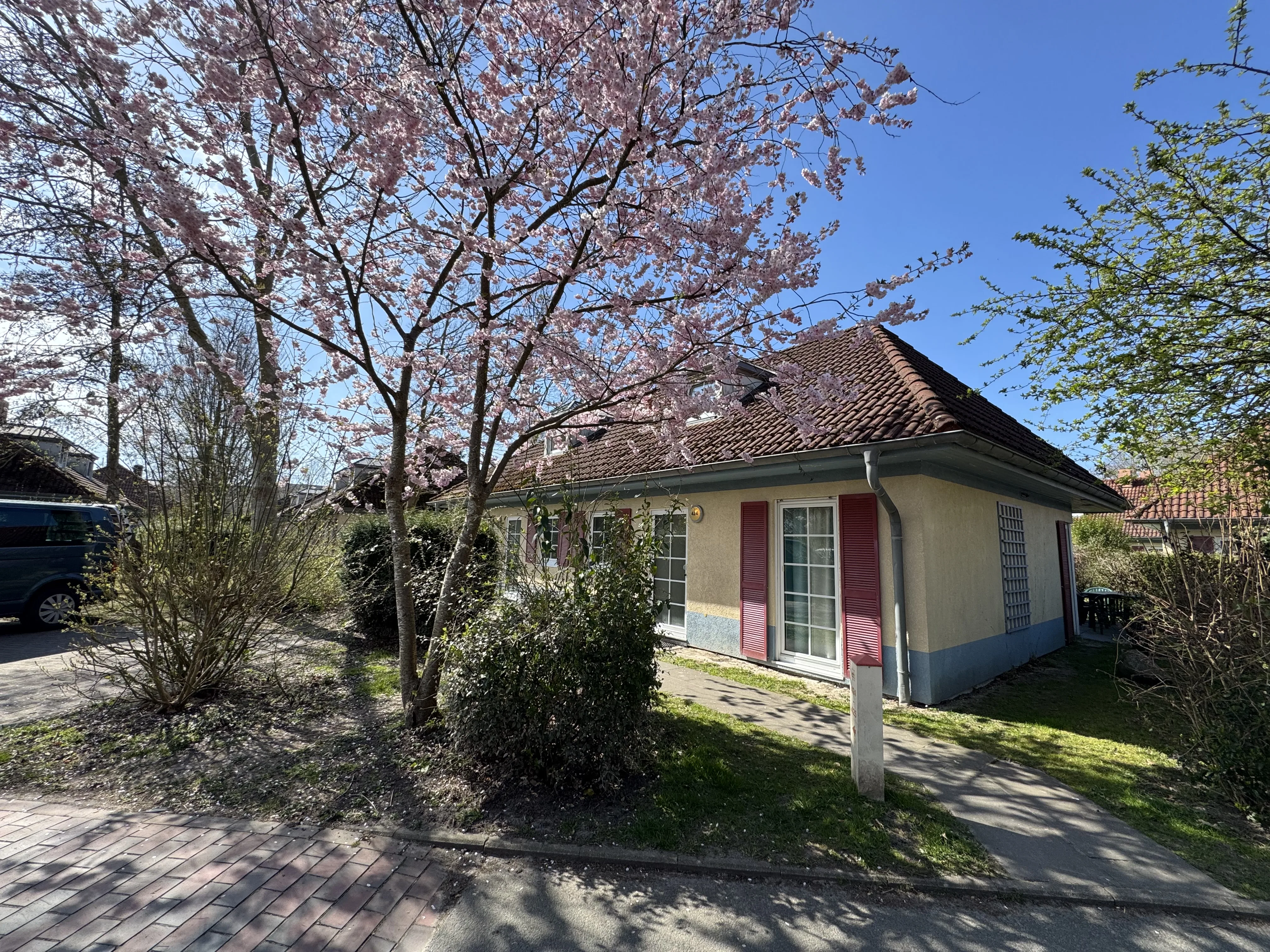 Ferienhaus mit Kirschbaum im Center Parcs Park Nordseeküste