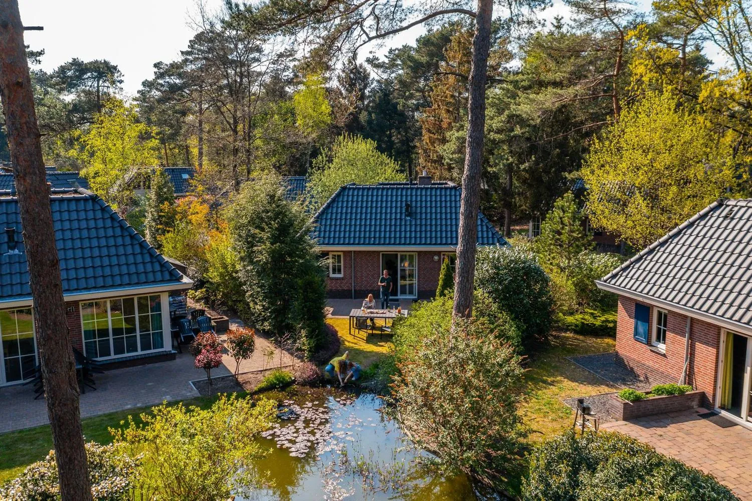 Ferienpark-Hütten mit Teich in grüner Waldumgebung und Terrasse