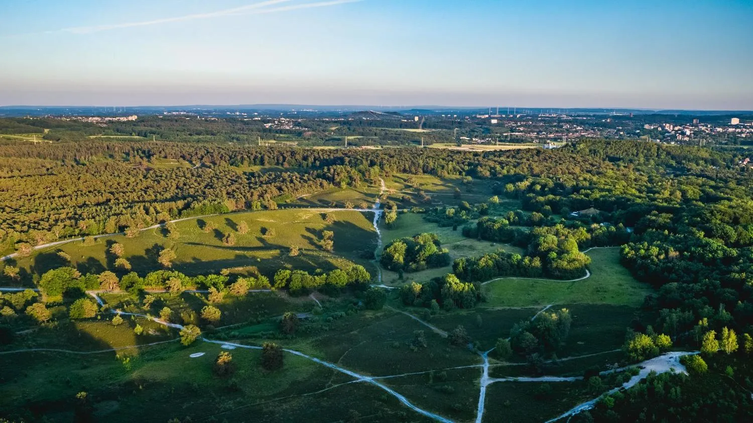 Luftaufnahme von Waldlandschaft mit Fluss und grüner Ebene