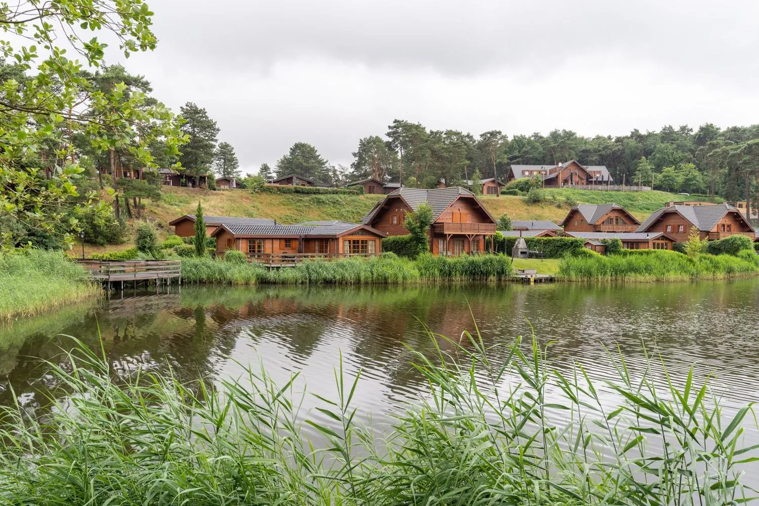 Holzhäuser am Teich mit Schilfrand und Wiesengelände