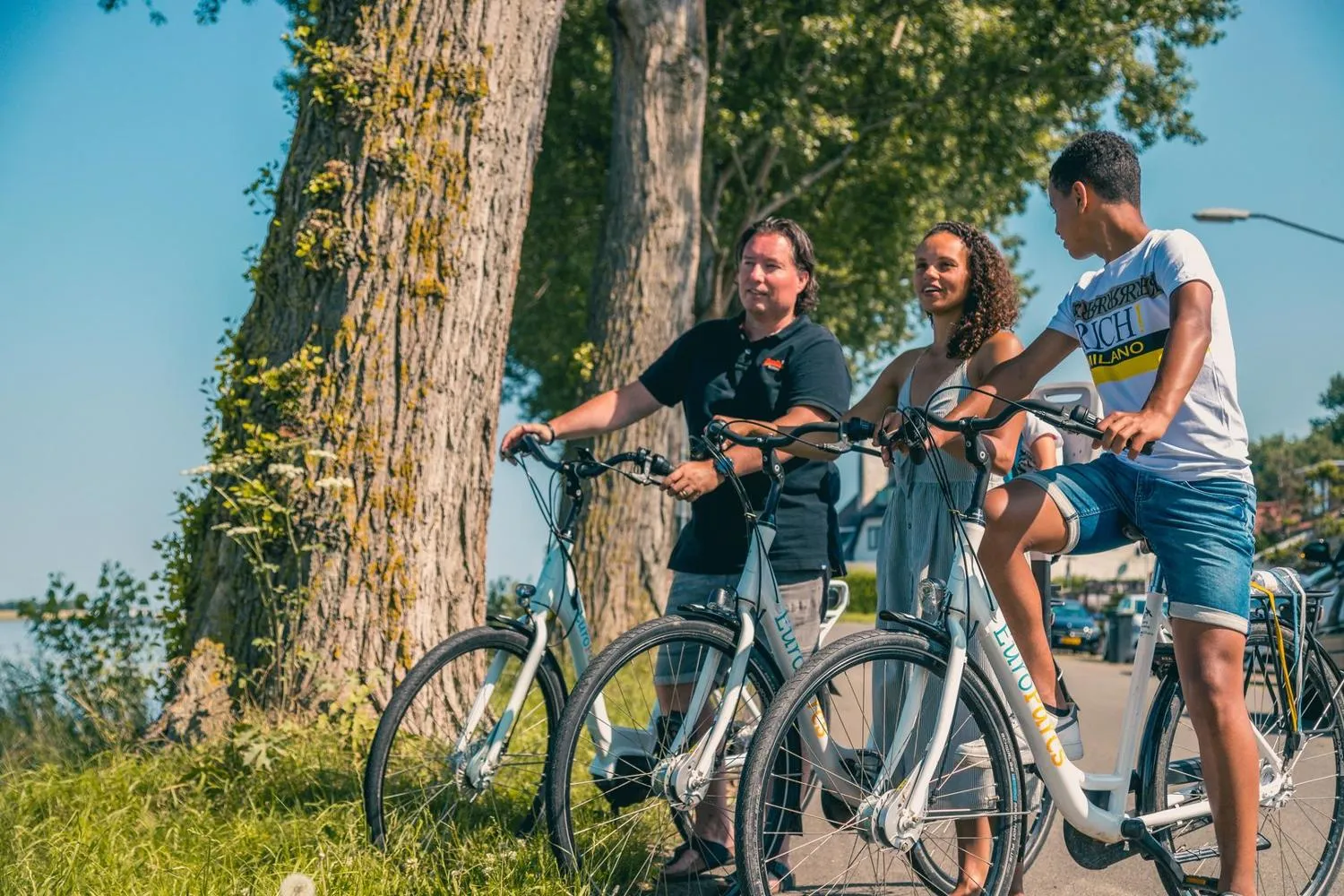 Vier Radfahrer halten am Wegesrand unter altem Baum