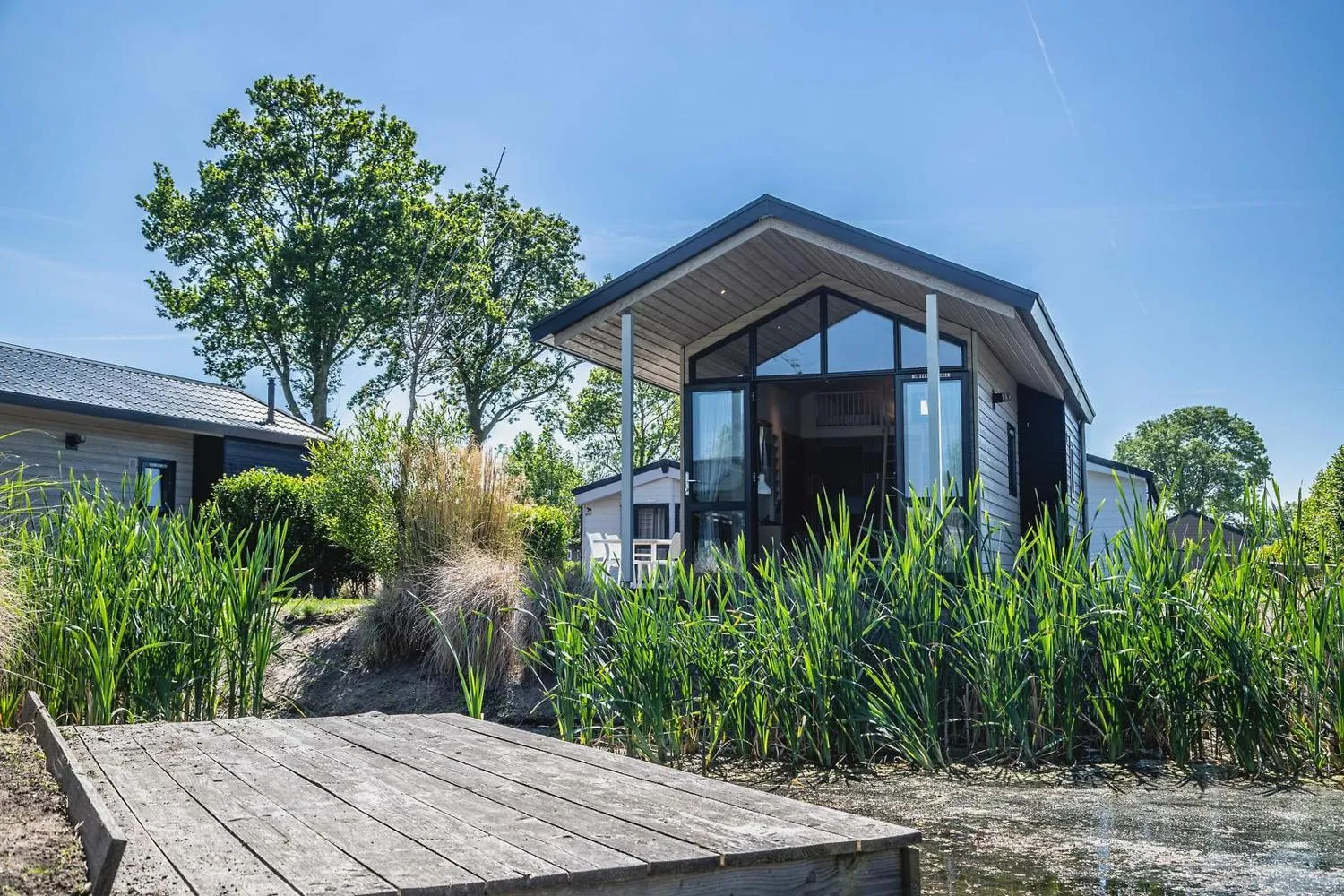 Modernes Ferienhaus mit Fenstern am Wasser zwischen Schilfpflanzen