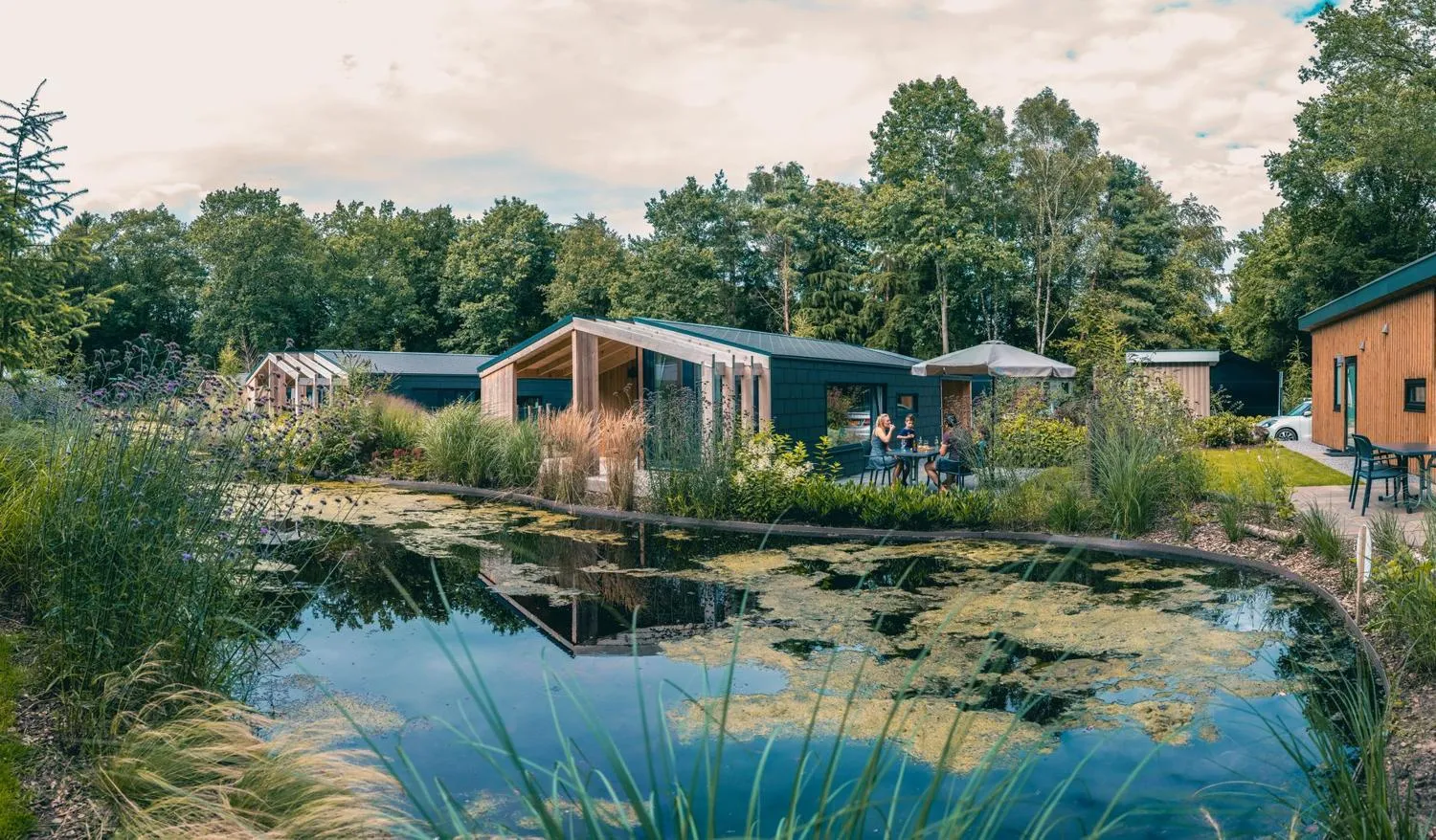 Mehrere Ferienhäuser am naturnahen Teich umgeben von Wald