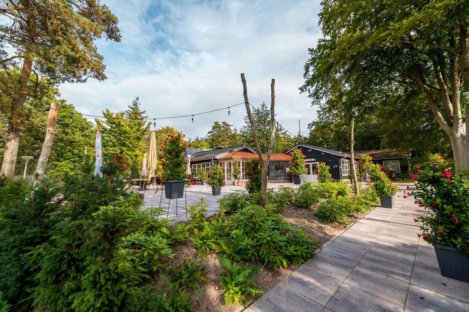 EuroParcs De Wiltzangh in Ruinen, Drenthe – Bild 3