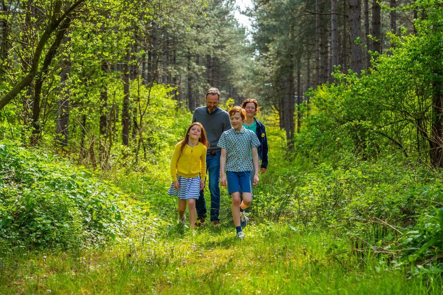 EuroParcs Hoge Kempen in Zutendaal, Flandern – Bild 13