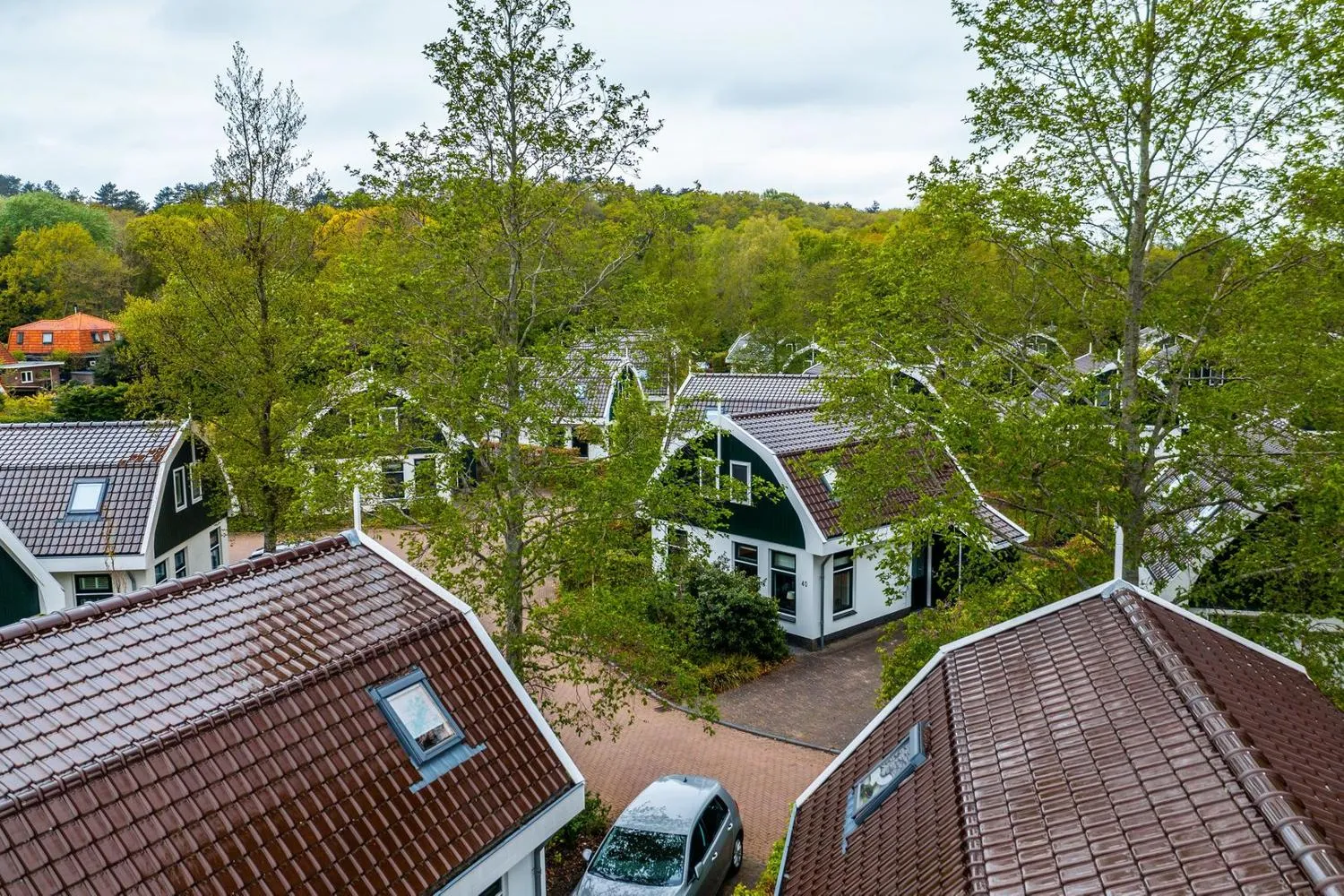 EuroParcs Koningshof in Schoorl, Nordholland – Bild 2