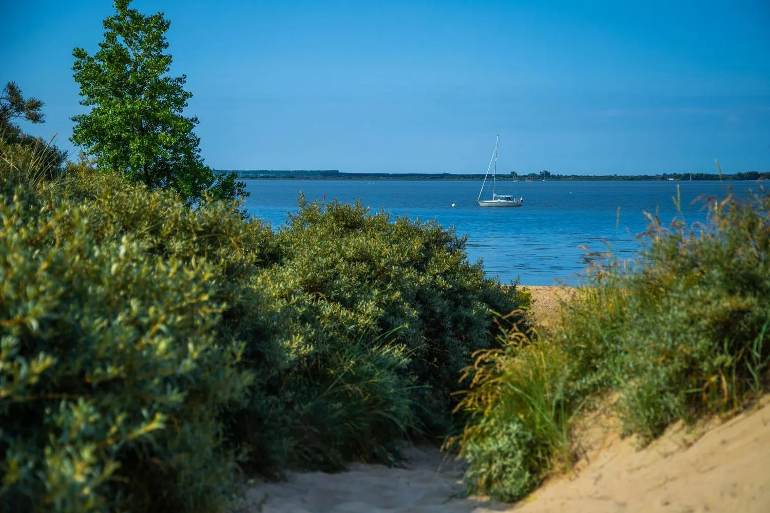 EuroParcs Poort van Zeeland in Hellevoetsluis, Südholland – Bild 5
