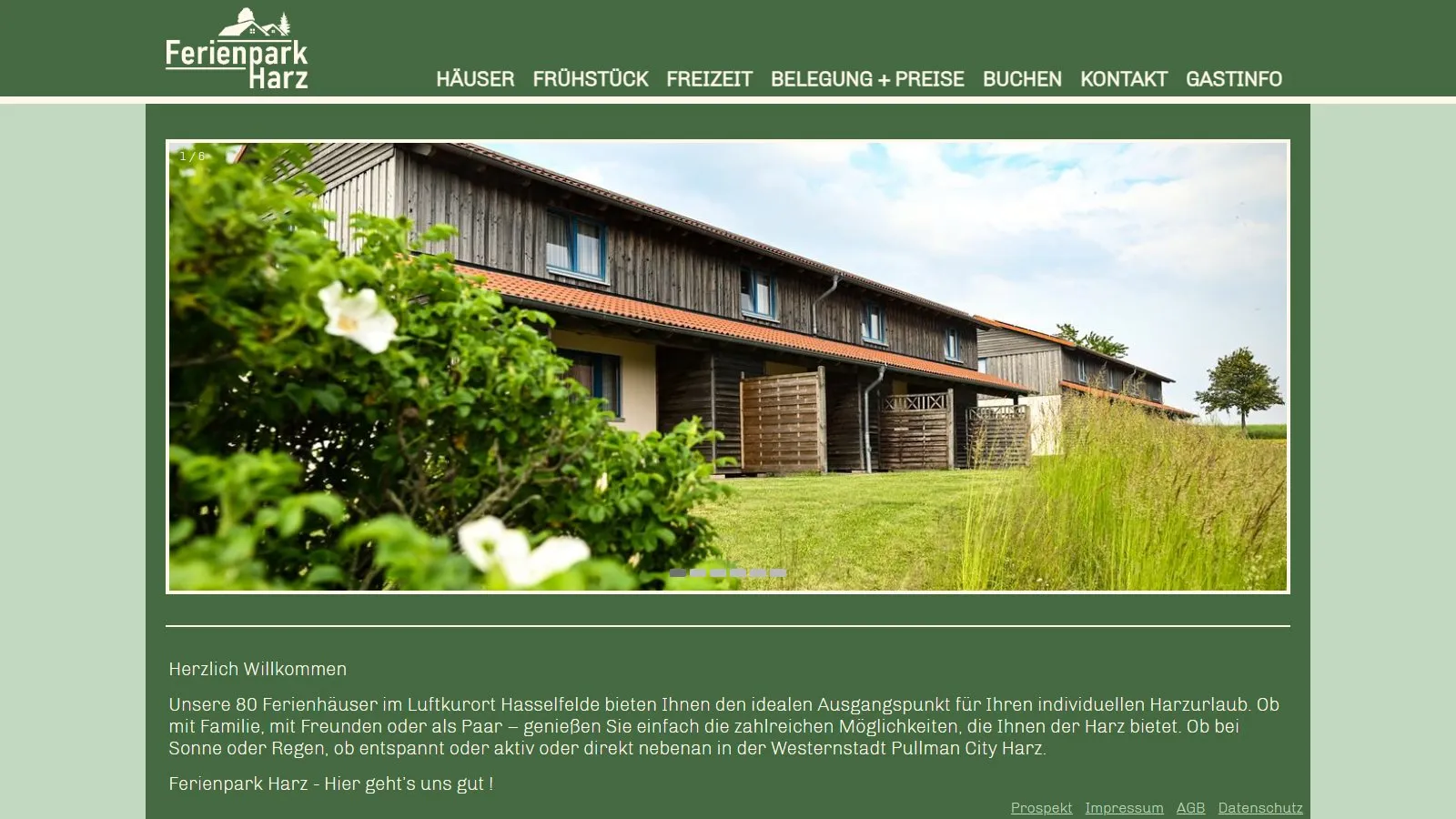 Ferienpark Harz