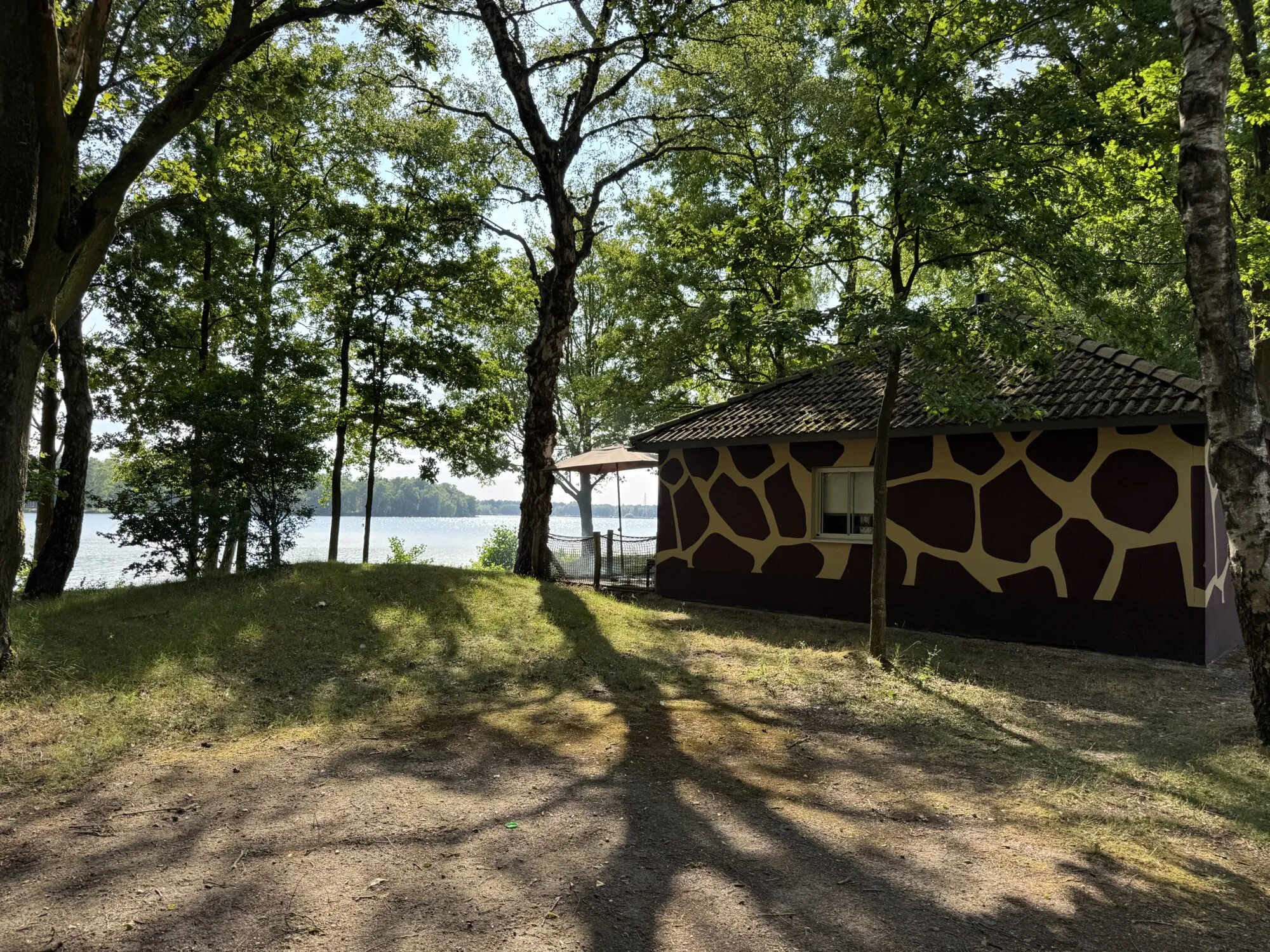 Ferienhäuser im Wald im Lake Resort Beekse Bergen