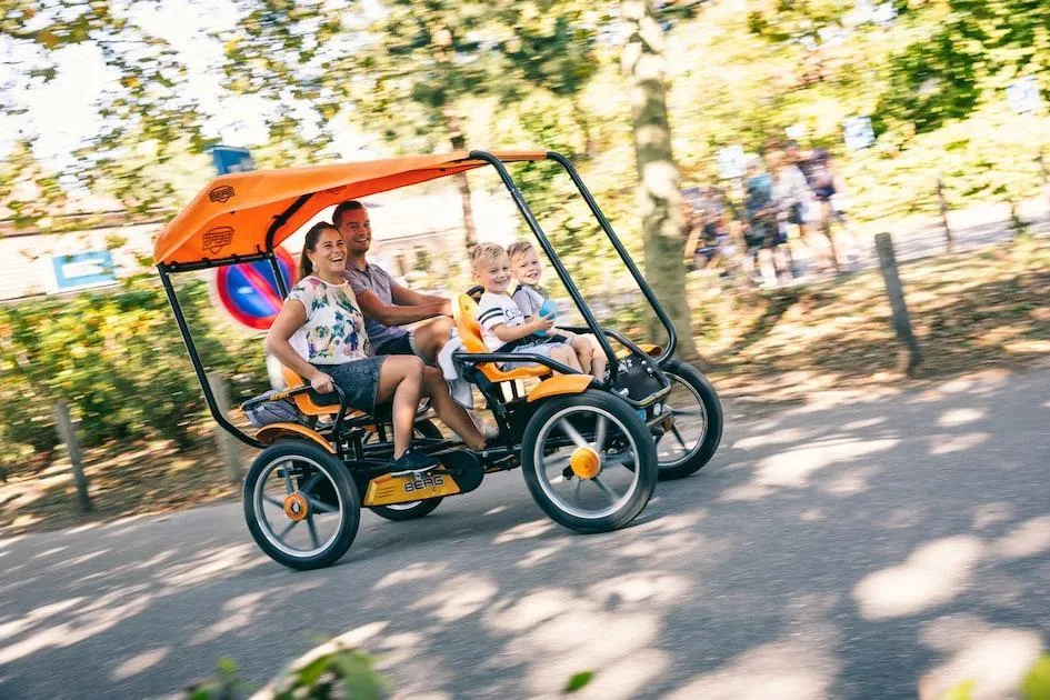 Landal Bospark De Schaapskooi in Wissel, Gelderland – Bild 9