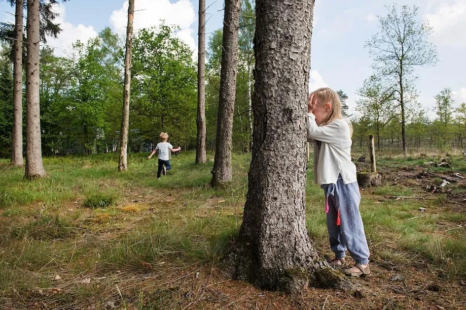 Landal Bungalowpark Hoenderloo in Hoenderloo, Gelderland – Bild 9