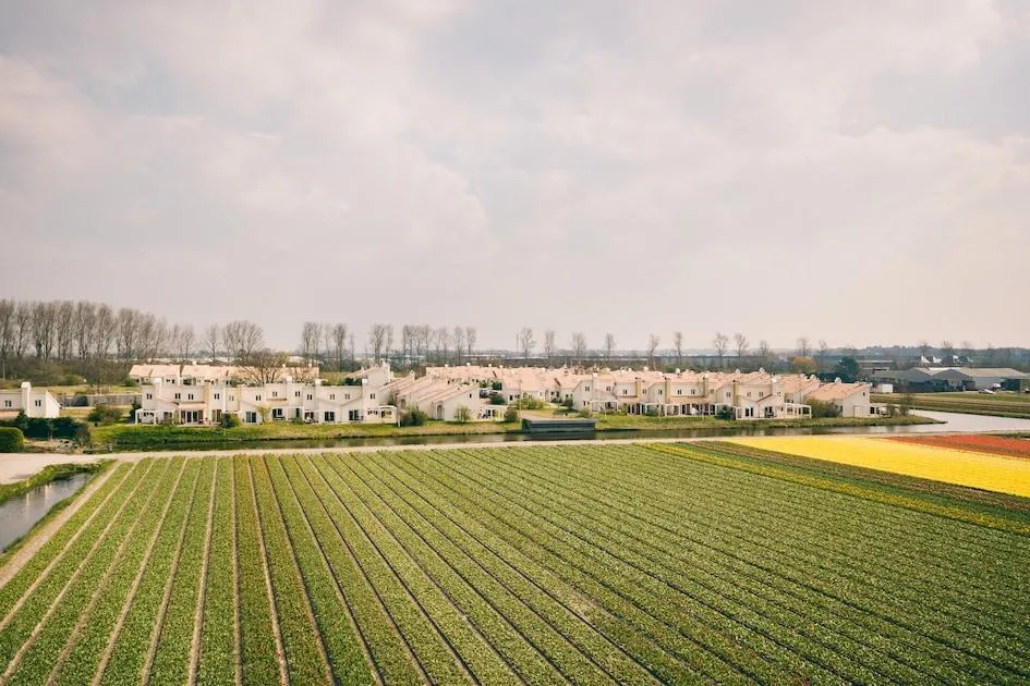 Landal Duinresort Dunimar in Noordwijkerhout, Südholland – Bild 9