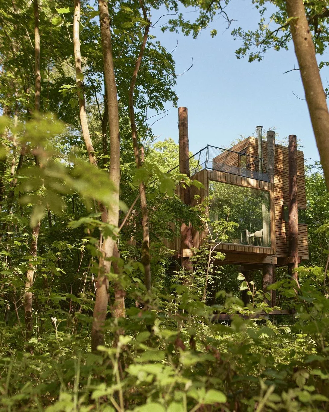 Forest Resort Your Nature in Henegouwen, Henegouwen Region – Bild 2