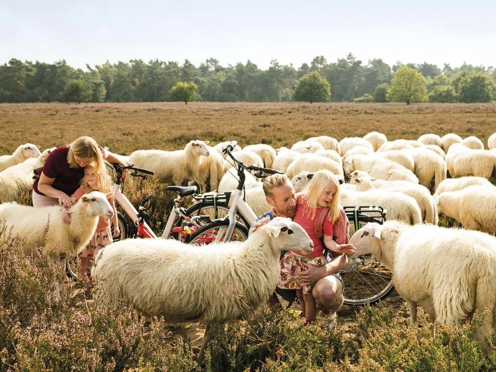 Buytenplaats Gooise Heide