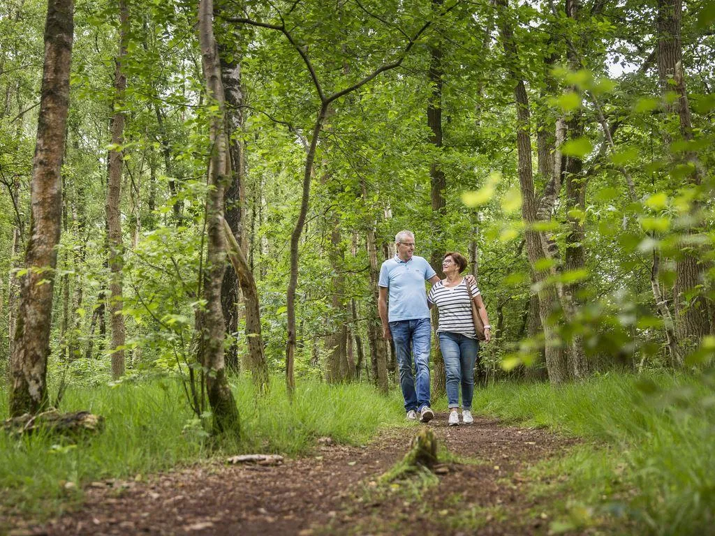 Landal Landgoed De Elsgraven in Enter, Overijssel – Bild 7