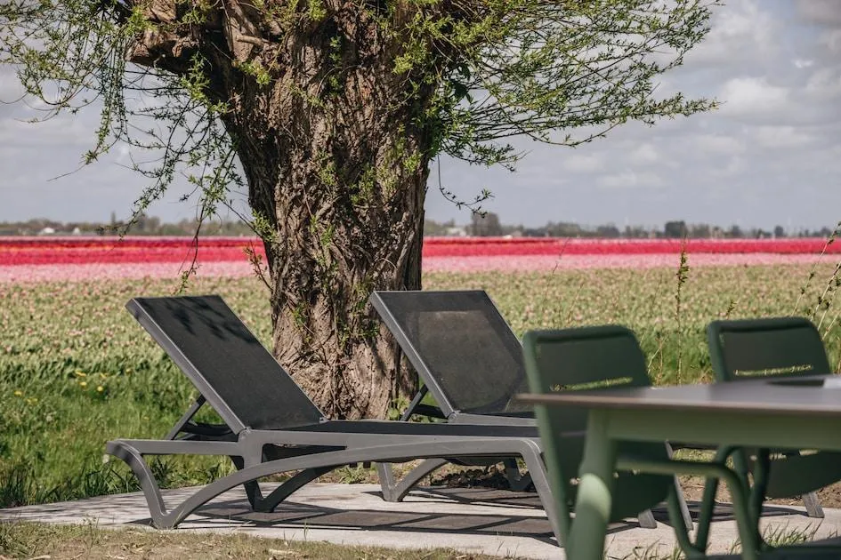 Landal Park Wijdenes in Wijdenes, Nordholland – Bild 11