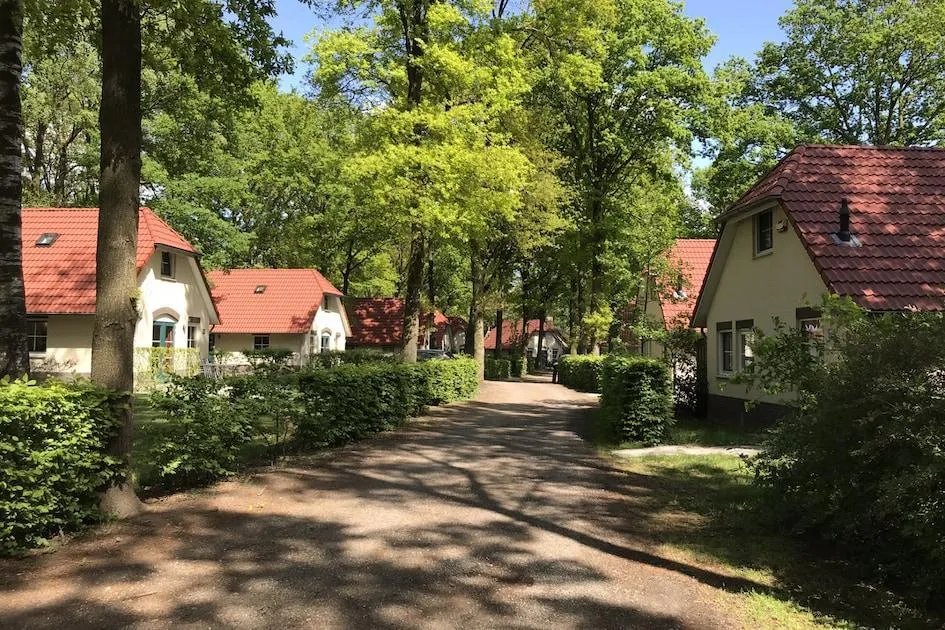 Landal Recreatiepark De Tolplas in Hoge Hexel, Overijssel – Bild 10