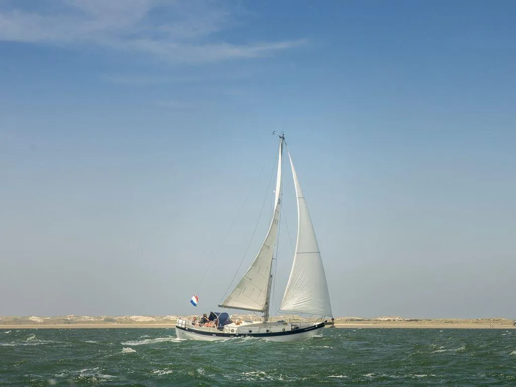 Landal Schuttersbos in Midsland, Friesland – Bild 9