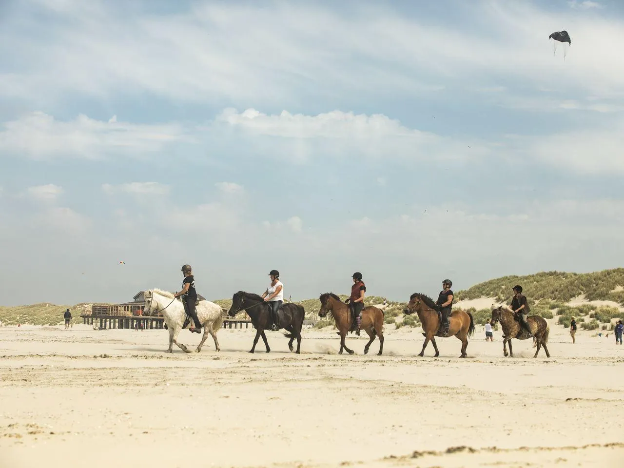 Landal Schuttersbos in Midsland, Friesland – Bild 7