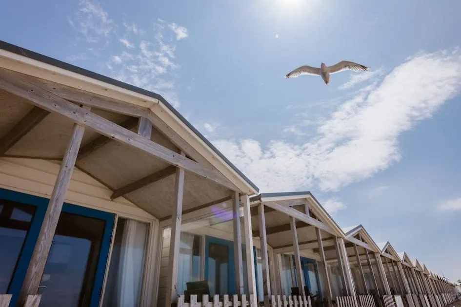 Roompot Strandhuisjes Wijk aan Zee - Häuser auf der Düne Roompot Strandhuisjes Wijk aan Zee - Häuser auf der Düne