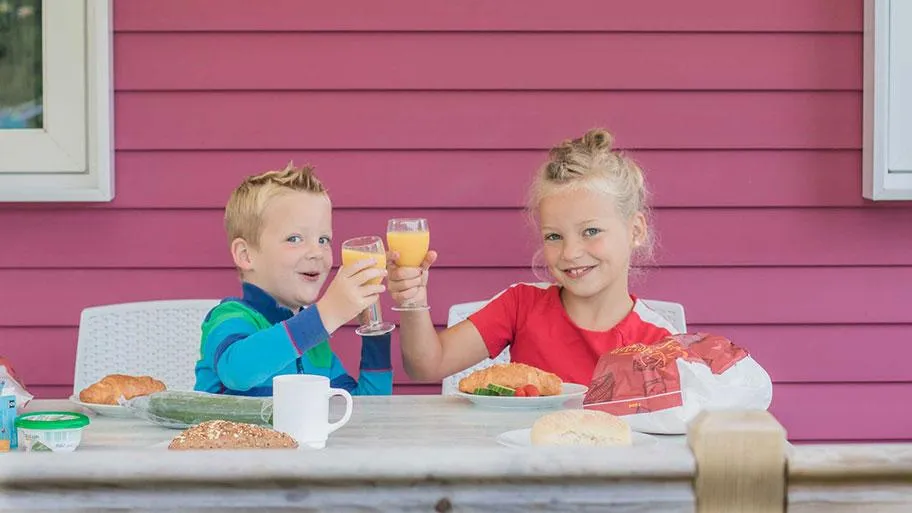 Molecaten Park 't Hout in Bakkeveen, Friesland – Bild 5