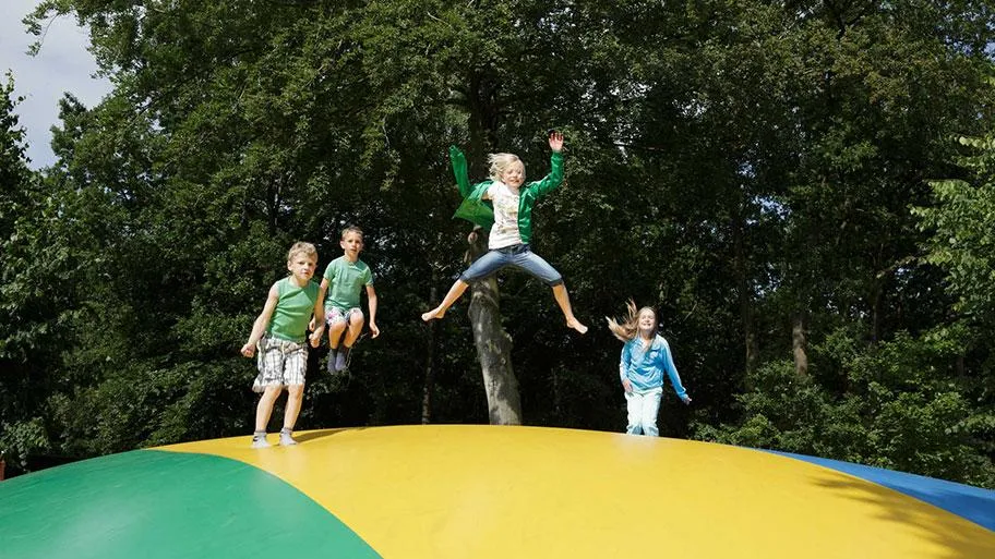Molecaten Park 't Hout in Bakkeveen, Friesland – Bild 8