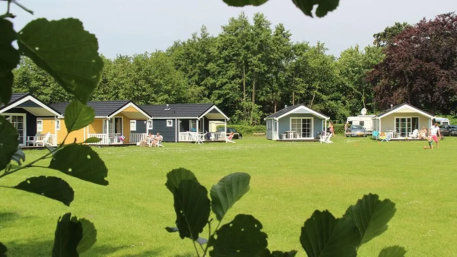 Molecaten Park Waterbos in Rockanje, Südholland – Bild 3