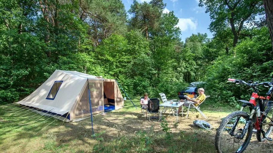 RCN de Noordster in Dwingeloo, Drenthe – Bild 10
