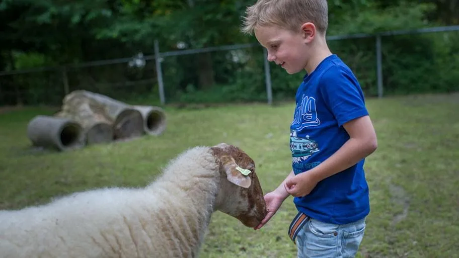 RCN de Noordster in Dwingeloo, Drenthe – Bild 7
