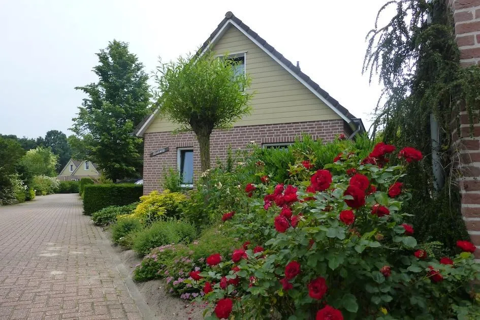 Roompot Bungalowpark De Riethorst in Plasmolen, Limburg – Bild 7