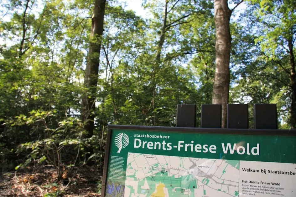Roompot Ferienpark Het Drentse Wold in Hoogersmilde, Drenthe – Bild 13