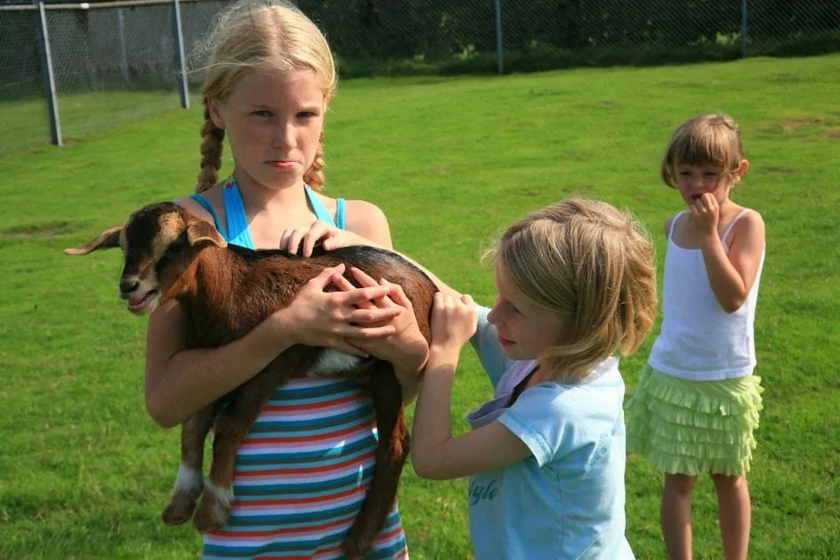 Roompot Villapark Akenveen in Tynaarloo, Drenthe – Bild 3
